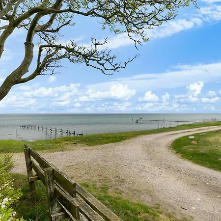 Andine - 250m From The Sea By Interhome Nyborg